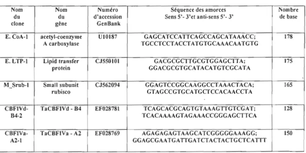 Tableau I.  Liste des sondes isolées pour l'hybridation in situ 