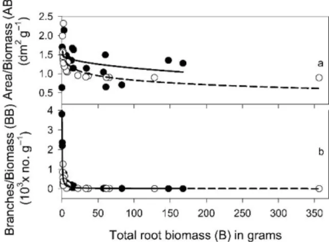 Figure 3. Effects of species and total root biomass (g) on the root surface area/biomass (dm 2 g −1 ) and branches/biomass (no.