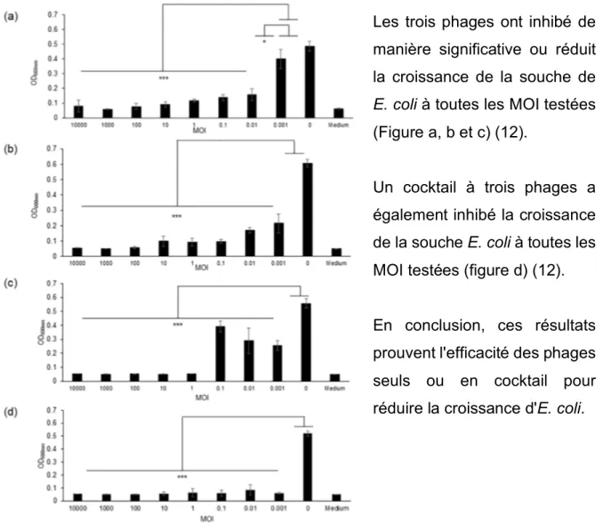 Figure 7 : Graphes représentant la densité optique après mise en contact durant 24h de la souche de E