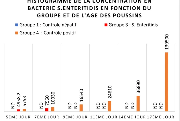 Figure 15: Résultat de la concentration de S.Enteritidis en fonction du groupe et de l’âge des poussins