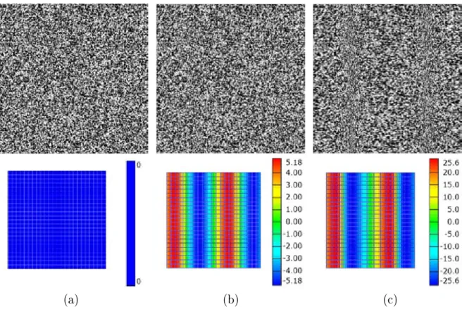 Fig. 2.2  Exemples d'images synthétiques : référence (a) et déformée (p=260 pixels, (b) α =0.02, (c) α=0.1) et leur champ de déplacement suivant x correspondant
