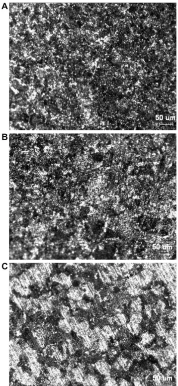 Fig. 3. Variation of the open circuit potential with time (ﬁrst 100 h) for ferritic steel 403 in the absence and presence (5% v/v) of G