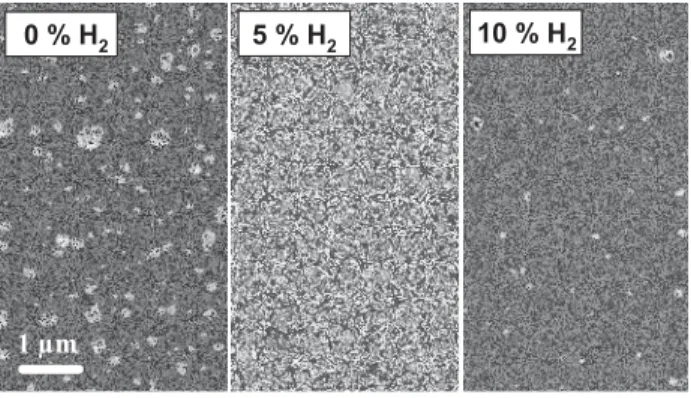 Fig. 3: SEM surface micrographs of TiO 2  layers grown on stainless steel substrates at 550 