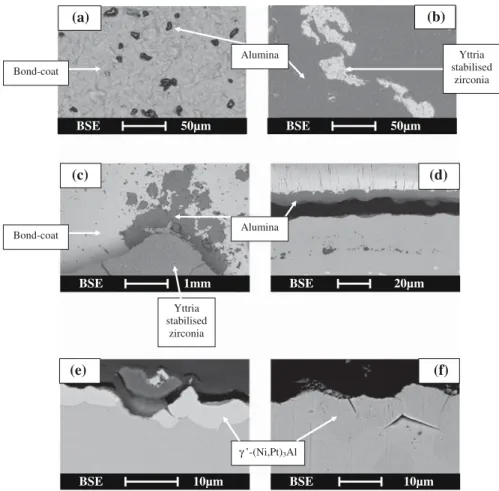 Fig. 2 SEM examinations of TBC system after 200 cycles at 1,150 C. a SEM bond coat surface examination on spalled areas