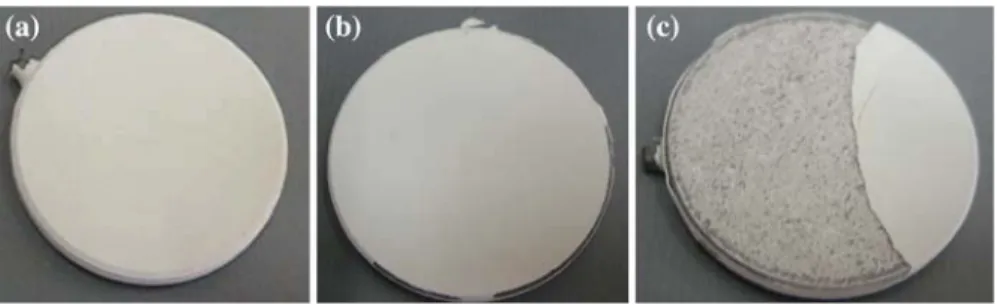 Fig. 4 Micrographs of sample at room temperature. a after 200 thermal cycles at 1,150 C