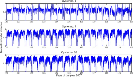Figure 2.4: Examples of normalized valve distance of three oysters during 10 days (sam- (sam-pling period, T s = 1.6 sec.)