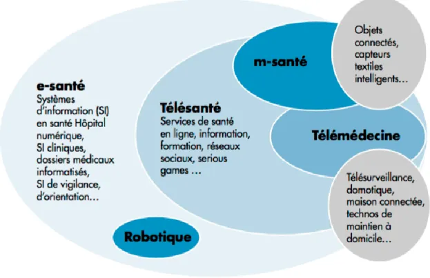 Figure : cartographie de l’e-santé́ 