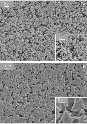 Fig. 6. Micrographs of the surface of a green iron pellet compacted under 100 MPa (a) and that of the same pellet after sintering at 800  C under hydrogen (b).