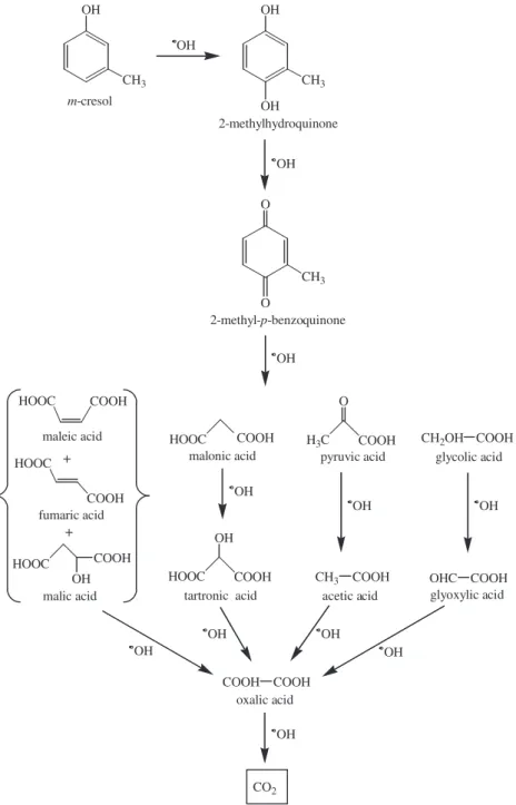 Fig. 6. Proposed reaction pathway for the electrochemical incineration of m-cresol in acid medium.