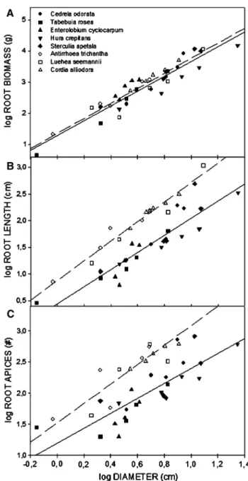 Fig. 5 Relationship between diameter (x-axis), root biomass, root length and root apices (y-axis) for the eight target species