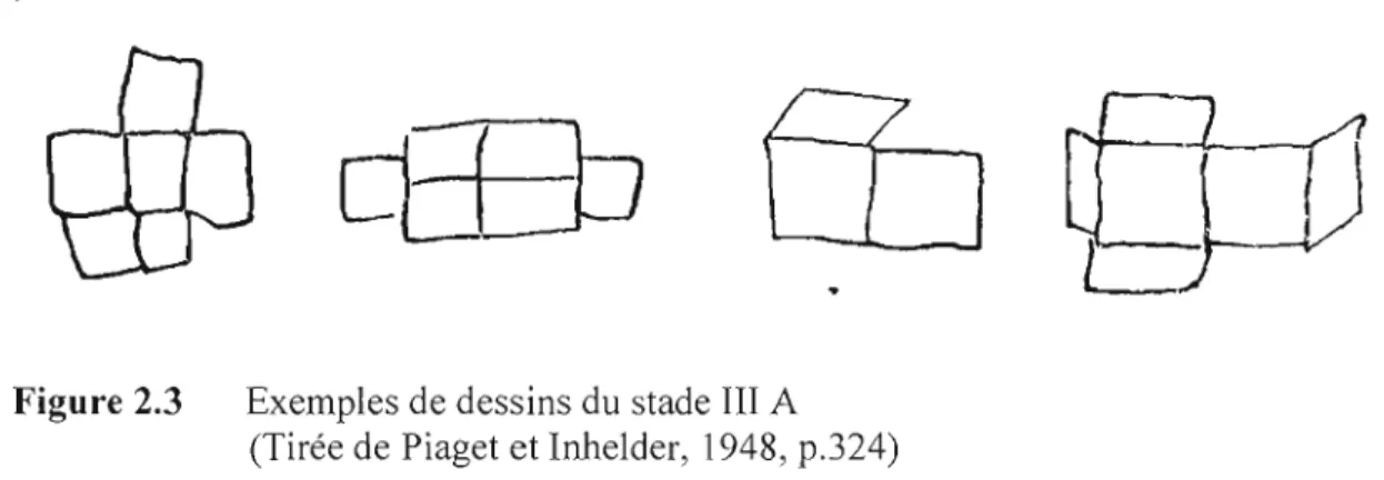 Figure 2.2	  Exemples de  dessins du stade II 