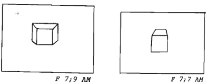 Figure 2.9  Exemples de  dessins de la quatrième catégorie  (Tirée de Caron-Pargue,  1985, p.59) 