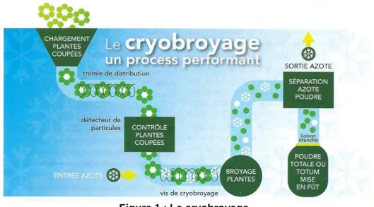 Figure 1 : Le cryobroyage 