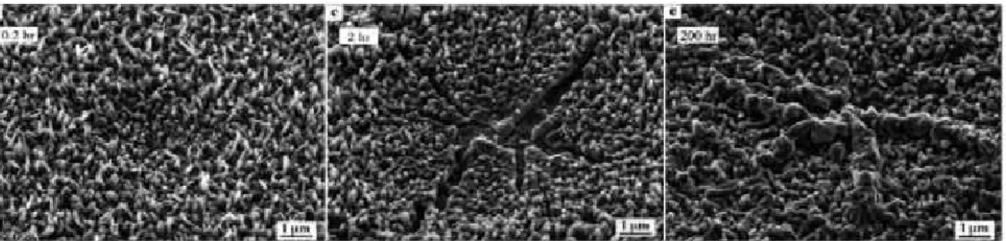 Figure I.10 : Formation des &#34;ridges&#34; : alumines de transition, fissuration lors de la transformation en alumine-α  et oxydation des zones fissurées [141]