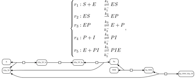 Figure 1.1 – BIOMD361 – Syst` eme de r´ eactions chimiques et graphe de r´ eactions La figure 1.1 pr´ esente le syst` eme de r´ eactions chimiques d´ ecrivant le mod` ele ainsi que son graphe de r´ eactions associ´ e, o` u chacune des boˆıtes repr´ esente 