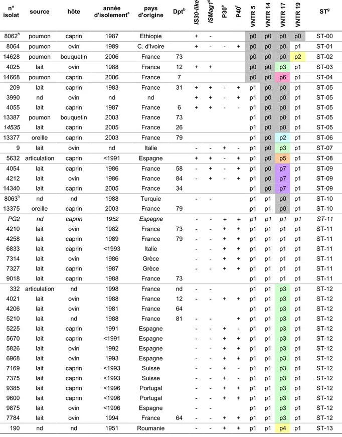 Tableau 1 : Profils obtenus avec les VNTR sur 40 isolats d'origines variées. 