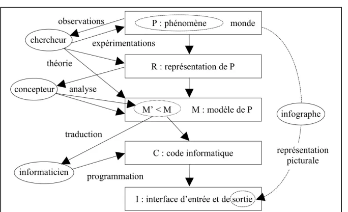 Figure 1. Du phénomène à la simulation informatique : les acteurs (ellipses)  et leurs tâches (flèches) dans le processus de  développement d’une simulation disciplinaire (rectangles)