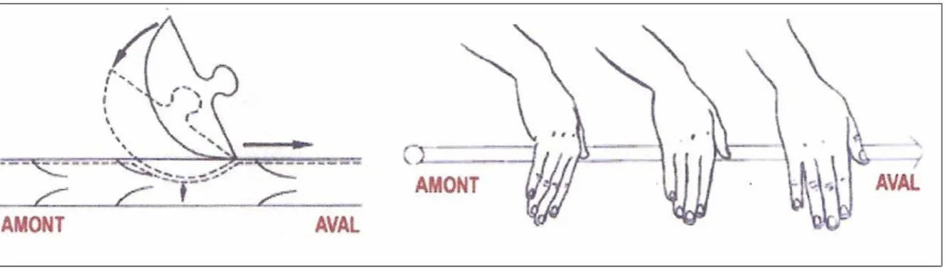 Figure 33 : Manœuvre d’appel de drainage lymphatique manuel symbolisé par un  tampon buvard oscillant (46) 