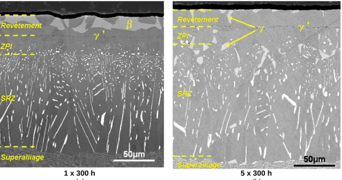 Figure IV- 22 – Microstructure du système sans BD après 1 cycle de 300h d’oxydation à1100°C (a) et  après 5 cycles d’oxydation à 1100°C (b) 