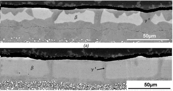 Figure IV- 26 – Micrographies des revêtements des systèmes sans et avec BD après 300 cycles d’1h  d’oxydation à 1100°C (mode électrons rétrodiffusés) 