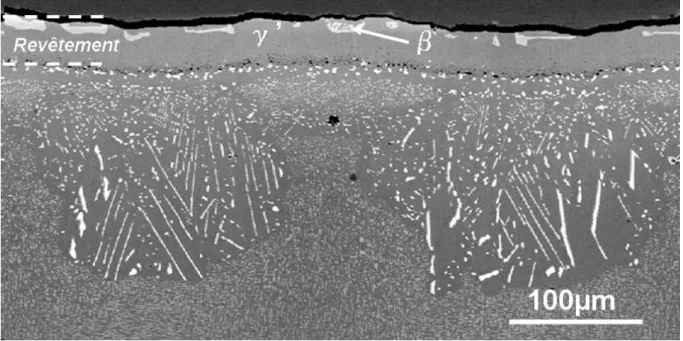 Figure IV- 29 – Micrographies (mode électrons rétrodiffusés) du système avec BD oxydé pendant 900  cycles de 1h à 1100°C sous air de laboratoire 