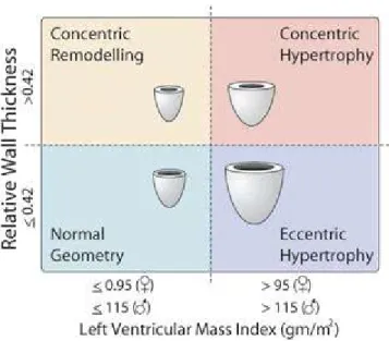 Figure 10 :  La classification actuellement admise pour les différents patrons de remodelage  ventriculaire gauche 