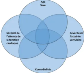 Figure 12 : Classification des différents groupes de facteurs de risque de décès en présence d’une  sténose aortique non traitée 