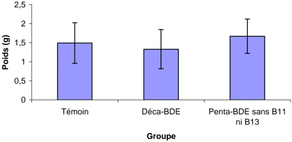 Figure VII : Moyennes ± ET des poids en gramme des hypophyses après 90 jours de  traitement placebo ou PBDE à la dose de 100 ng/kg/j par voie IV 