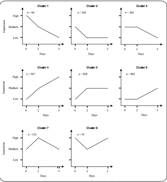 Figure  2.3  Schematic  clusters  representing  different  patterns  of  gene  expression  among differentially expressed genes (DEGs)