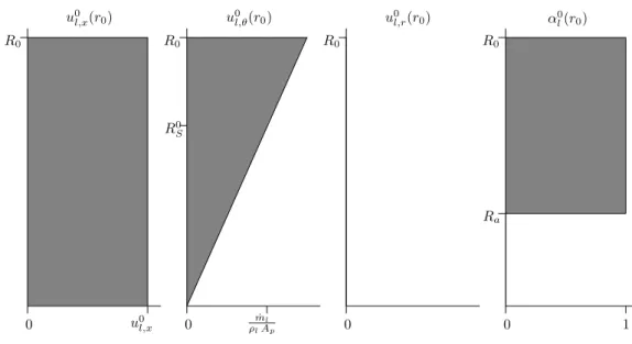 Fig. 7.3: Liquid variable proﬁles in the discharge oriﬁce plane x = x 0 .