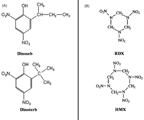 Fig. 1. Molecular structure of the herbicides (Dinoseb and Dinoterb) and explosives (RDX and HMX) studied.