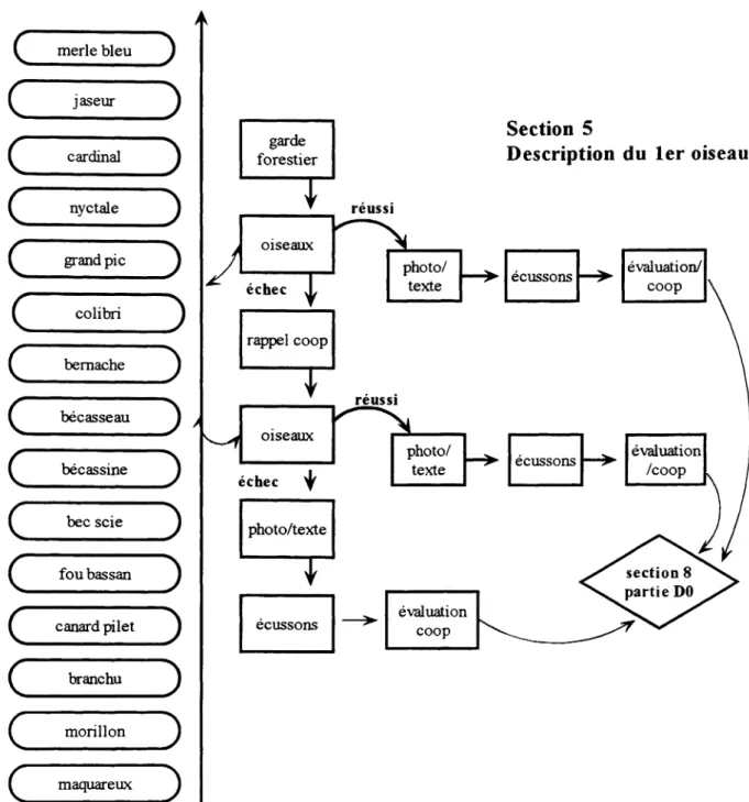 Figure 2- Exemple d’un schéma de conception d’une section dans  la version coopérative du S.A.M.I.