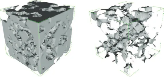 Fig. 10 – Three-dimensional simulation of Berea sandstone using estimated BRS parameters.