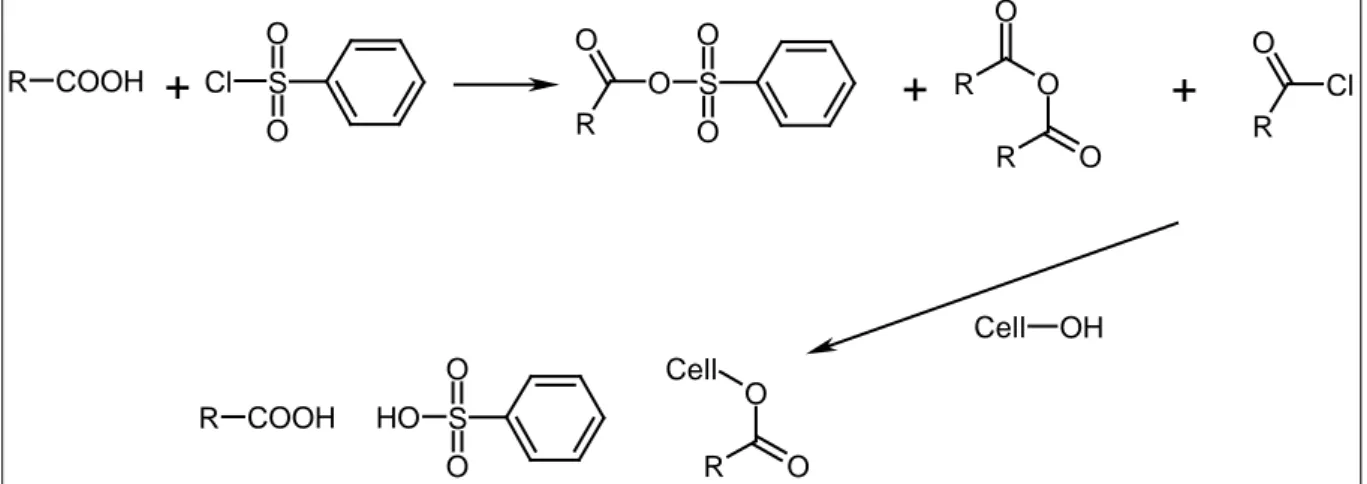 Figure 1. 11 : Activation d'un acide carboxylique par le chlorure d'acide p-toluènesulfonique 
