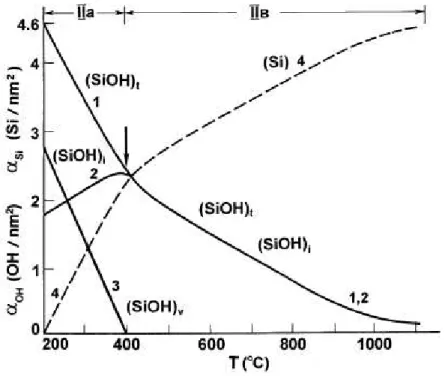 Figure  2.5 :  Evolution des différents groupes de surface du substrat SiO 2  en fonction de la  température  de  prétraitement  sous  vide  (modèle  de  Zhuravlev) :  courbe  1,  concentration  moyenne des sites silanols totaux (SiOH) t  ; courbe 2, conce