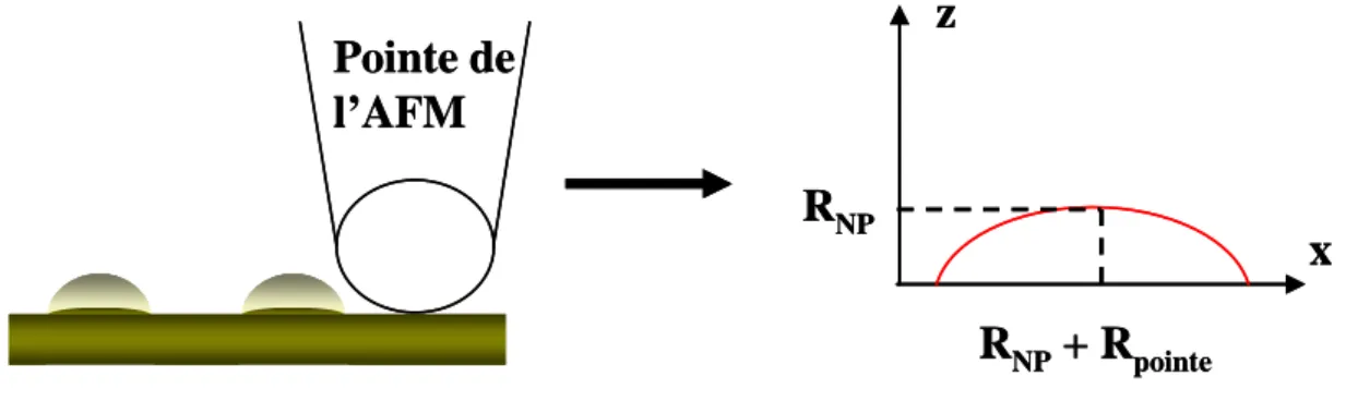 Figure  2.12 :   Schéma  d’un  échantillon  à  analyser  avec  une  pointe  d’un  AFM  [35].