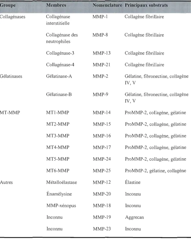 Tableau 1 : Liste des  métalloprotéases 