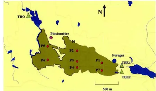 Figure 1.8 Localisation des stations de mesure dans la tourbière et à  proximité. Cercles  rouges:  station  de  la  tourbière;  triangles  verts:  station  des  exutoires;  cercle  mauve: 