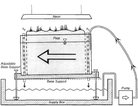 Figure  1.9  Maquette  expérimentale  pour  la  mesure  de  la  conductivité  hydraulique  horizontale de l'acrotelme (tirée de Rosa et Larocque, 2008): 