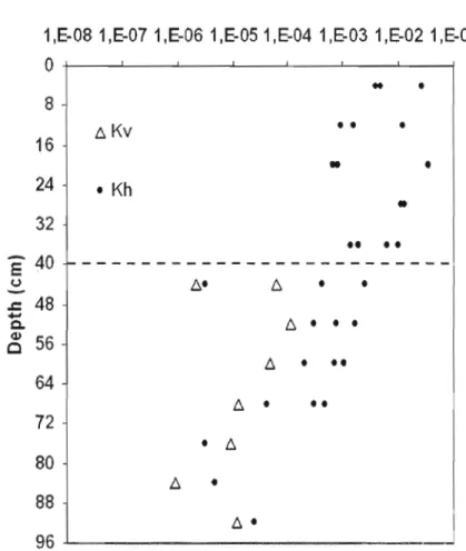 Figure 1.15 Conductivité hydraulique horizontale (K h)  et verticale (K v)  de trois carottes  (pl  ;P3;P5)