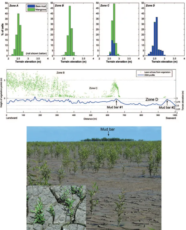 Fig. 5. Percentages of bare mud surface versus colonized mud surface for the four zones A, B, C and D (top graph)