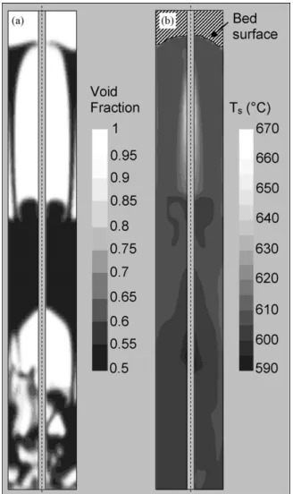 Fig. 3. Instantaneous ﬁelds (a) of void fraction and (b) of solid temperature for run A5 after 5 s of deposition.
