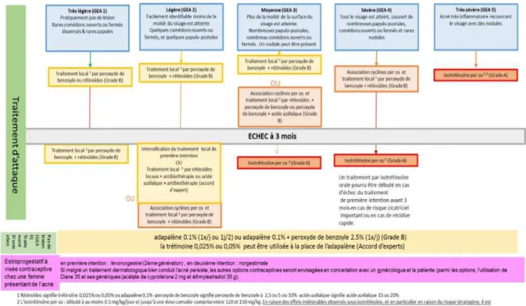 Figure 1 : Société Française de Dermatologie  – Prise en charge de l’acné (3) 