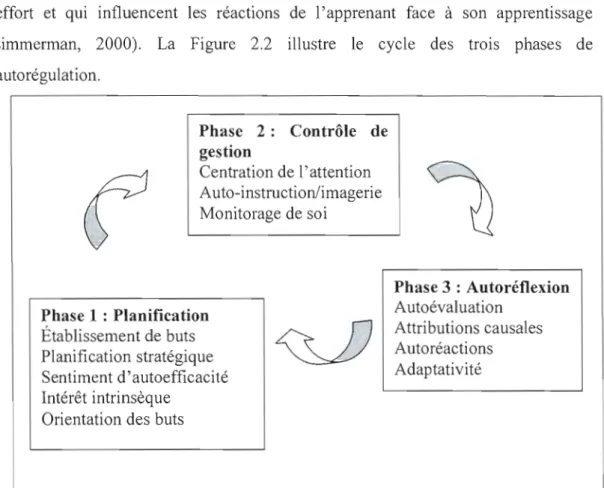 Figure  2.2.  Phases de l'autorégulation. 