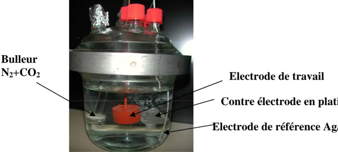 Figure 3 : Photo d’un réacteur anaérobie de 0,5 L. 