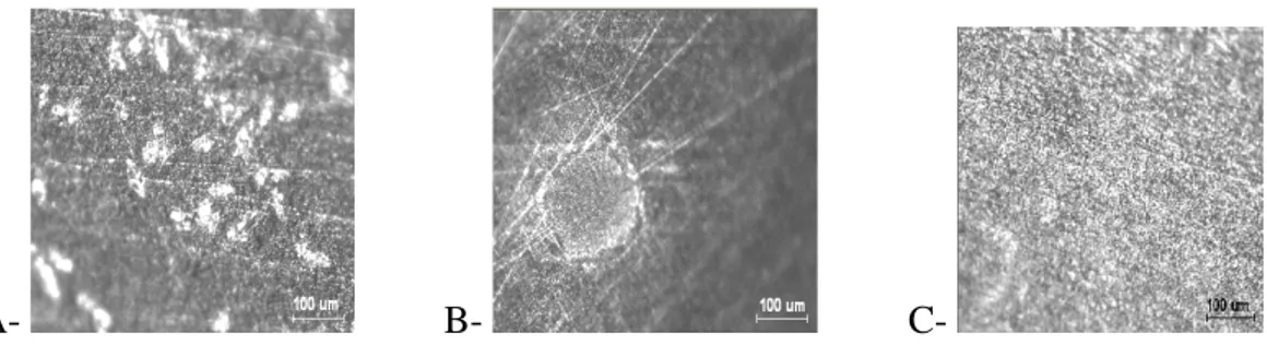 Figure 6 : Microscopie d’un acier 1145, immergé durant 24h, dans un milieu phosphate 100  mM, pH 8, en absence d’oxygène
