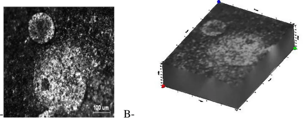 Figure 8 : Microscopie à épifluorescence en 2D (8.A) et reconstruction 3D (8.B) du même  échantillon d’acier représenté dans la figure 7 mais après l’avoir nettoyé