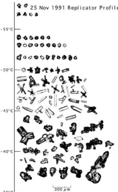 Figure 1.9  Exemple de tailles et de formes de 
ristaux de gla
e dans un