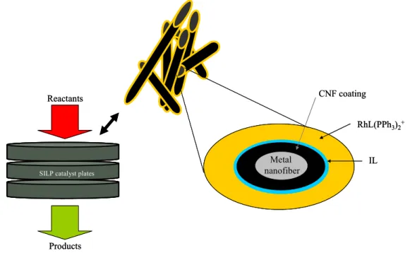 Figure 1.2: SILP catalyst combining ILs, CNFs and SMF. 75,76