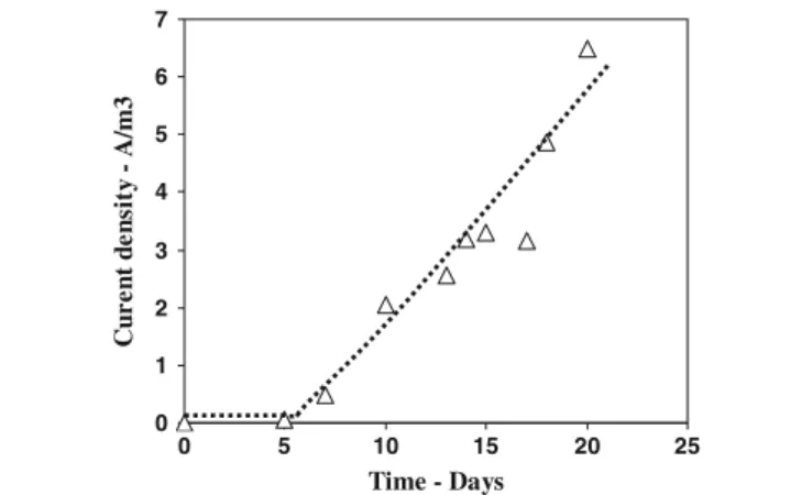 Fig. 2. Current density recorded on a microbial graphite granule electrode polarized at 200 mV/Ag–AgCl inoculated with activated sludge.